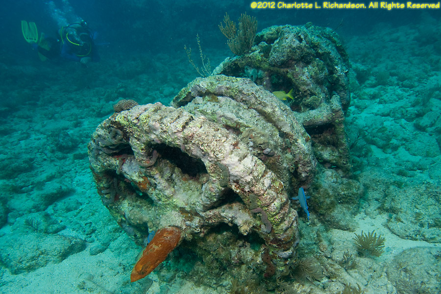 Molasses Reef Photo Gallery